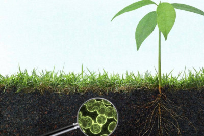 Organic matter needs to be decomposed and old plant material needs to be recycled by agricultural microbes