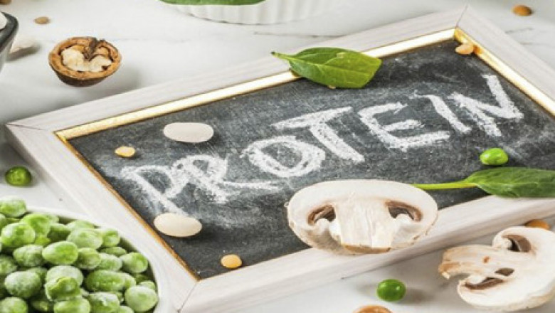 Take 5 Natural Protein Sources in Normal Diet
