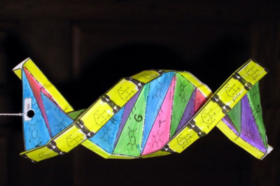 DNA Origami Market Demand from 2021-2027| Research Informatic