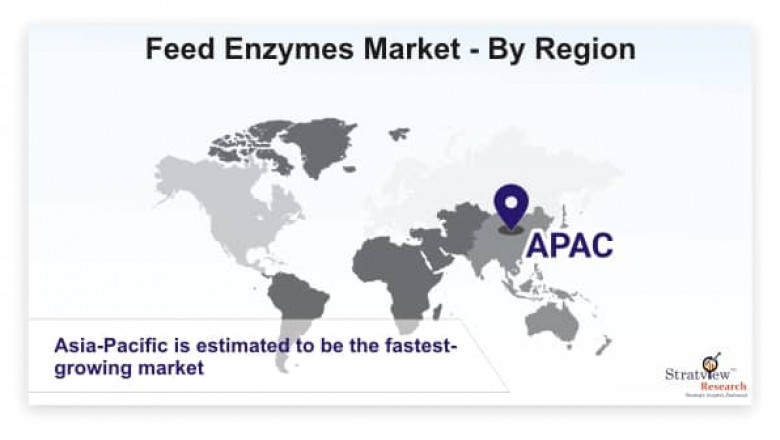 Feed Enzymes Market to Witness a Handsome Growth during 2022-2027