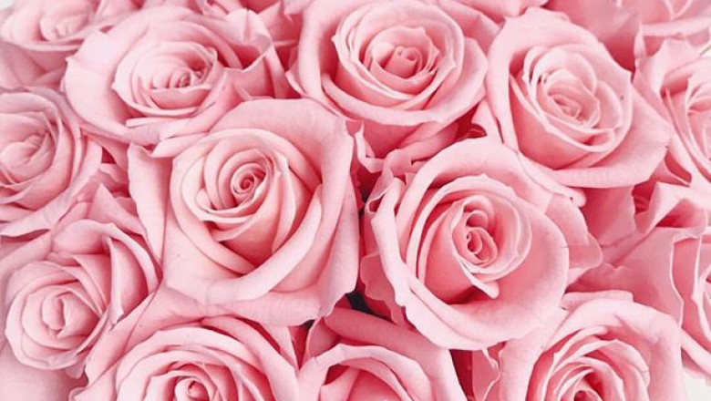 How to Make Your Best Friend’s Birthday Gift More Memorable