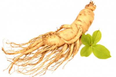 Know what is Ginseng?