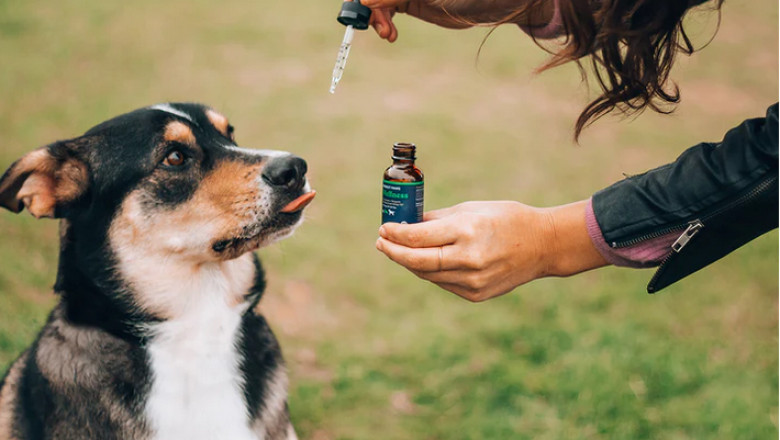 Quality Hemp oil for acne to get the best glowing face skin