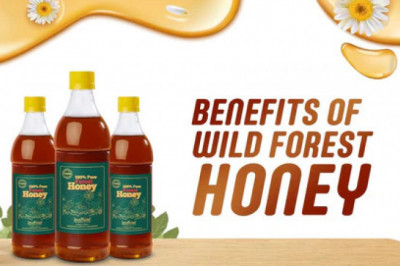 WHAT ARE THE BENEFITS OF WILD FOREST HONEY?
