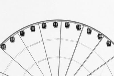 15 surprising stats about yorkie puppy for sale near me