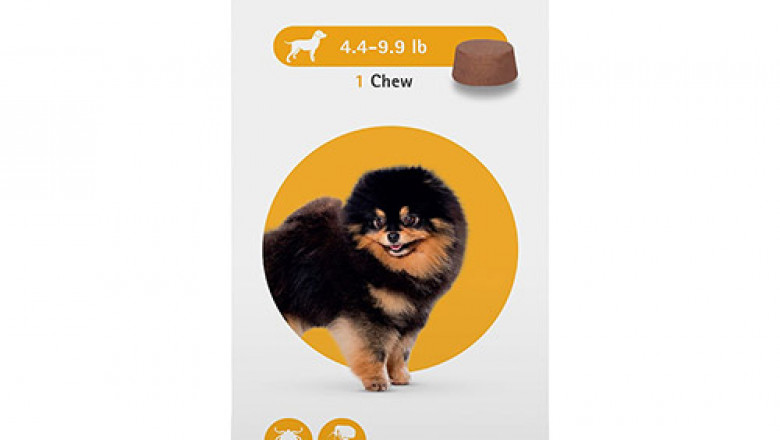 Buy Bravecto Chewable for Very Small Dog Yellow Online