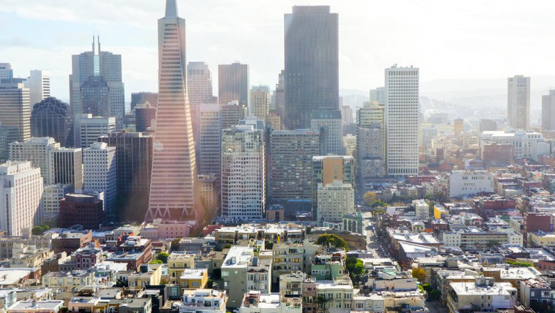 go bus egypt what no one is talking about