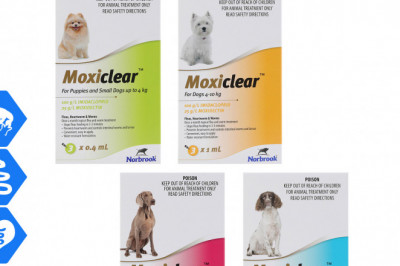 Moxiclear for Dogs 3 Pipettes Treat and Control Flea Worm Heartworm