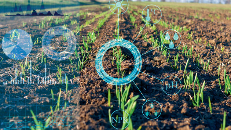 Soil Humidity Sensors Market 2022-2028, Industry Share, Size, Growth Status, Competitive Analysis, and Report
