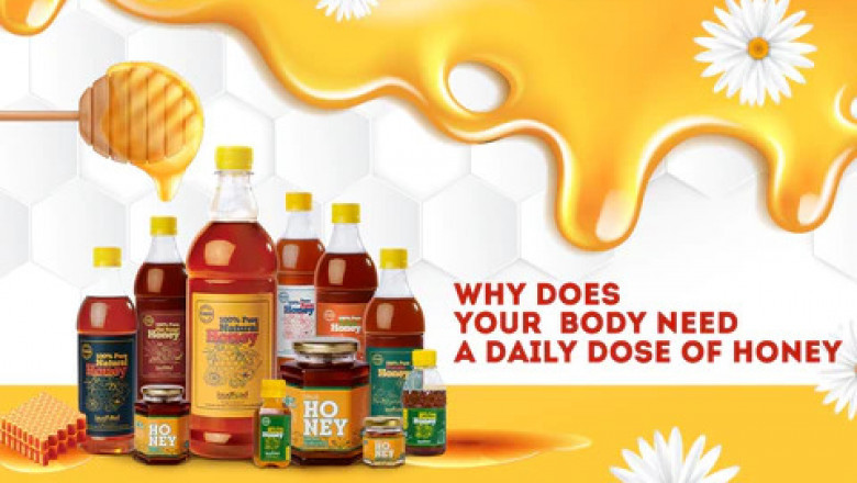 Why Does Your Body Need A Daily Dose of Honey?