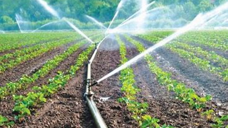 Middle East & South Africa Micro Irrigation System Market is expected to grow at a CAGR of 8.70% by 2027
