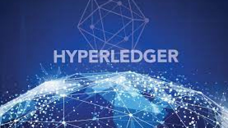 What is Hyperledger Development?