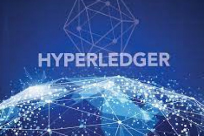 What is Hyperledger Development?