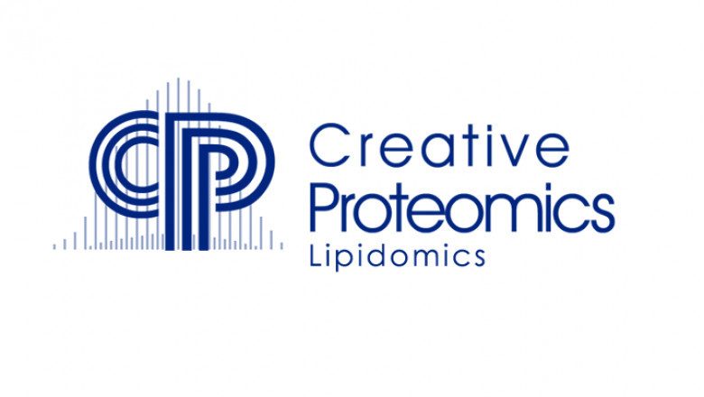 Creative Proteomics Accelerates Protein Research with Top-Down Proteomics Services