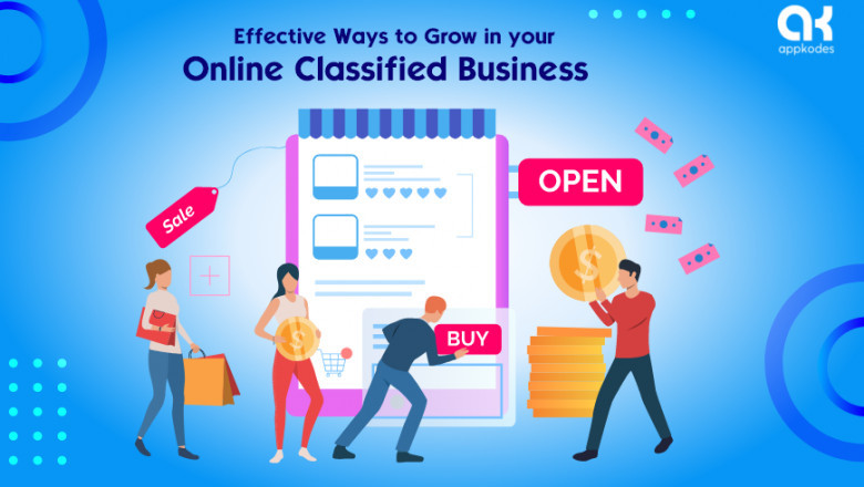 Effective ways to grow an online classified business using the Locanto clone