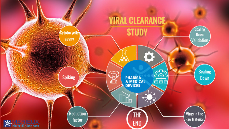 Global Viral Clearance Market 2022 Is Rapidly Increasing Worldwide in Near Future