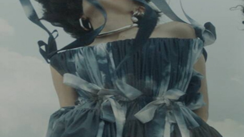 Alexander McQueen Sale Fashion conspiracy theorists