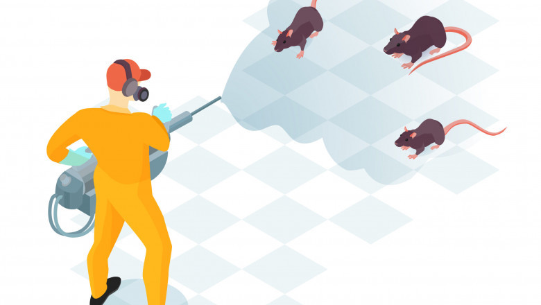 Best Pest Control Company-Offer you the best services
