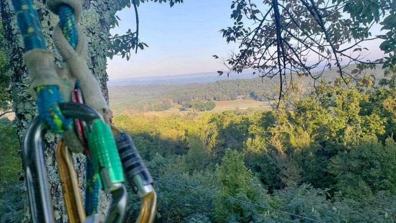 Emergency Situations Where You Can Call AKA Tree Service