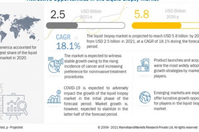 Liquid Biopsy Market Opportunity , Growth Factors and Industry Analysis