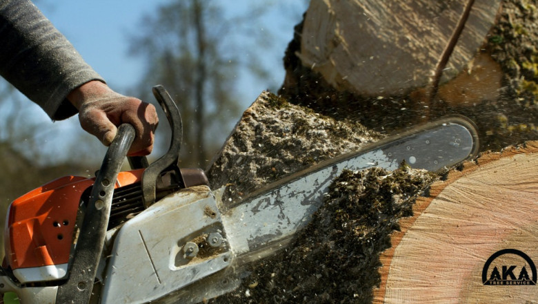 What Makes AKA Tree Service A Preferred Service In The Field?