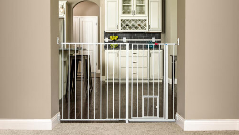 How to Keep Your Pets Safe During DIY Projects