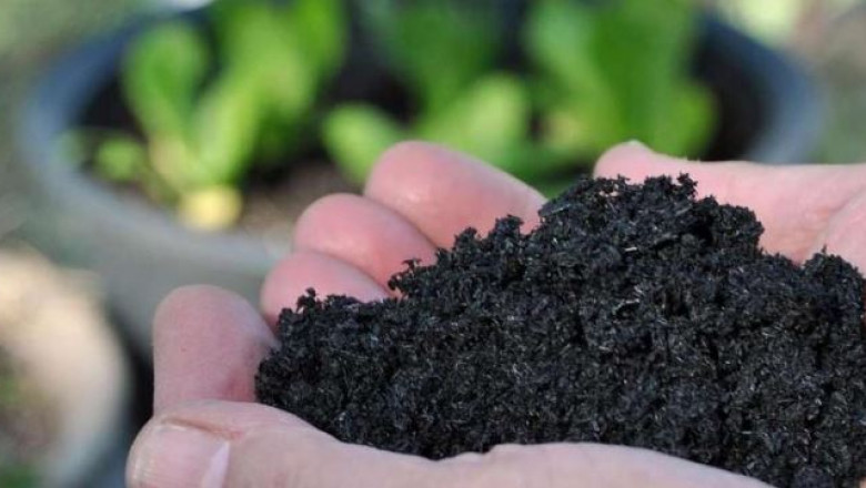 Biochar Market Will Hit Big Revenues In Future