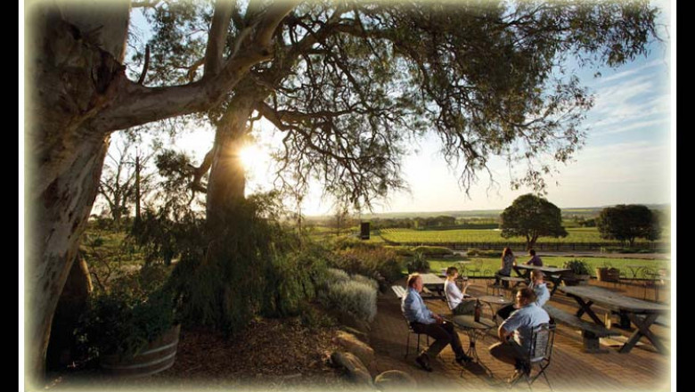 Barossa Valley Wine Tours