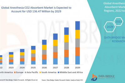 Market Analysis & Insight- Global Anesthesia CO2 Absorbent Market