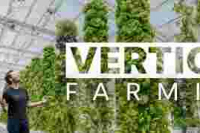 Middle East & Africa Vertical Farming Market Is anticipated to grow with the CAGR of more than 21.26% by 2027