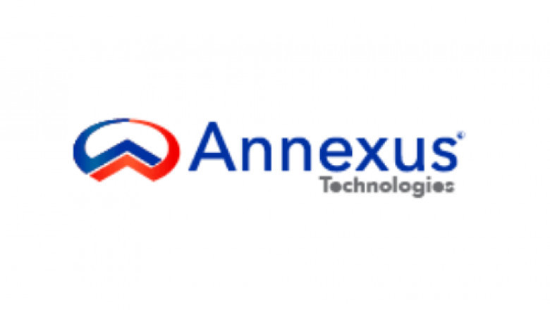 Remote IT Support Services