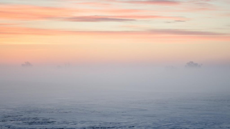 criminal defence lawyers lawyers