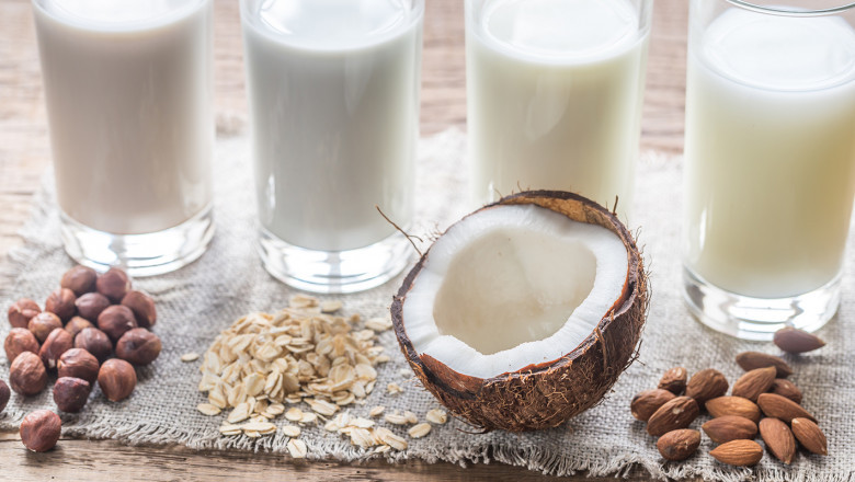 Dairy Alternatives Market Analysis with Industry and Growth Rate by Manufacturers 2022-2028