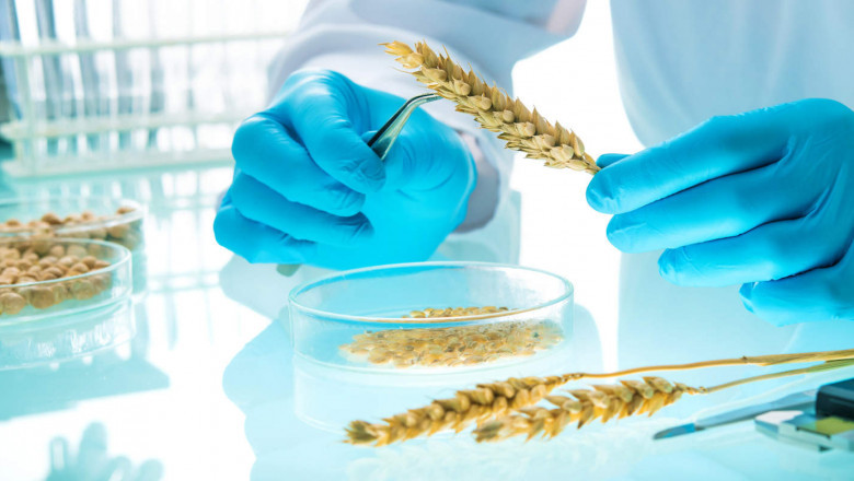 Food Safety Testing Equipment and Consumables Market Size, Industry Share, Global Opportunities, Emerging Trends, Regional Overview and Forecast 2022-2028