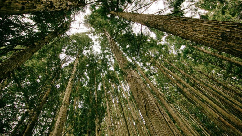 house cleaning maid service home cleaning maidpro house cleaning services