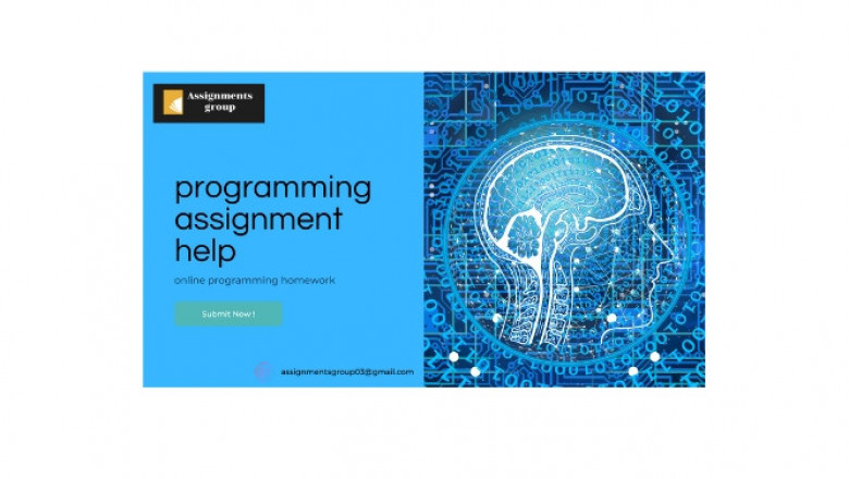 online programming assignment
