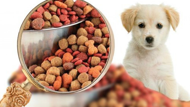 Pet Food Market Research Report by Service Type, Application, Forecast to 2030