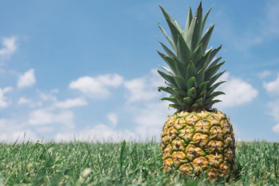 10 things you learned in preschool thatll help you with real flow real estate