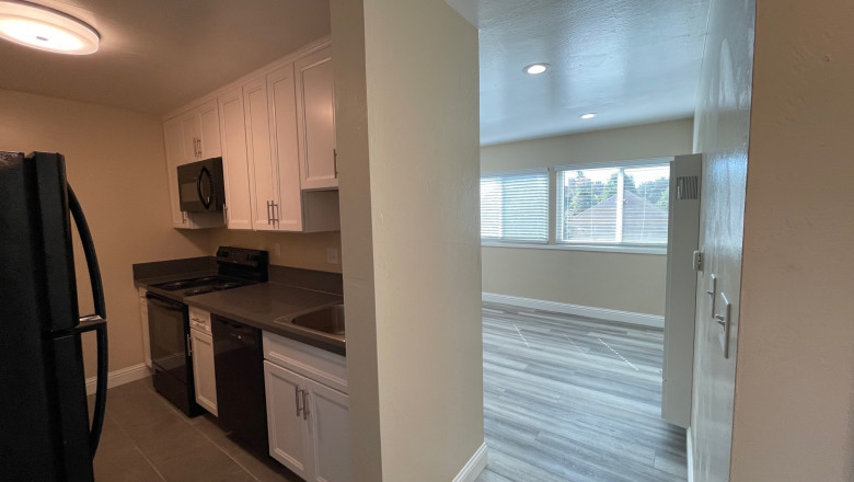 Benefits of Renting Houses in Outer Sunset, San Francisco