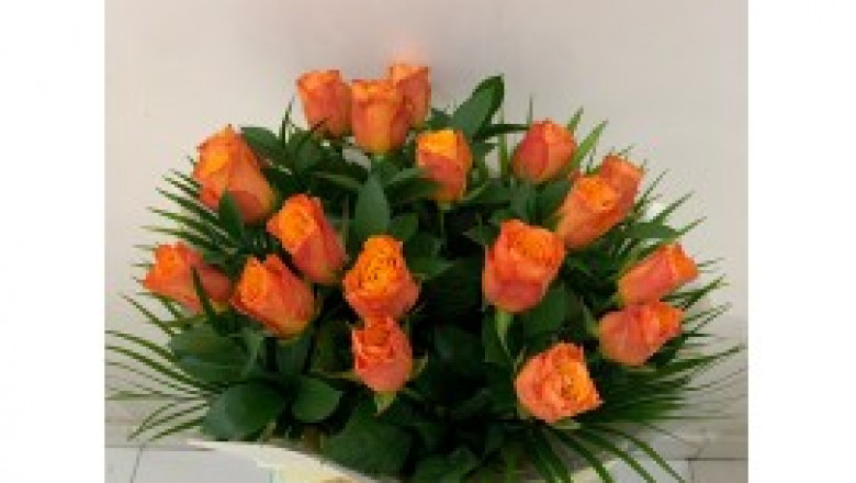 Gifts Ideas For Plant Lovers