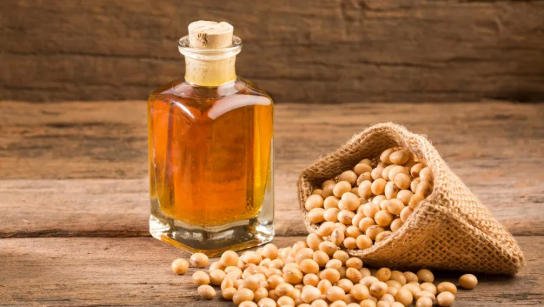 High Oleic Soybean Market Report 2022-2028, Industry Share, Size, Price Trends, Segmentation, and Forecast