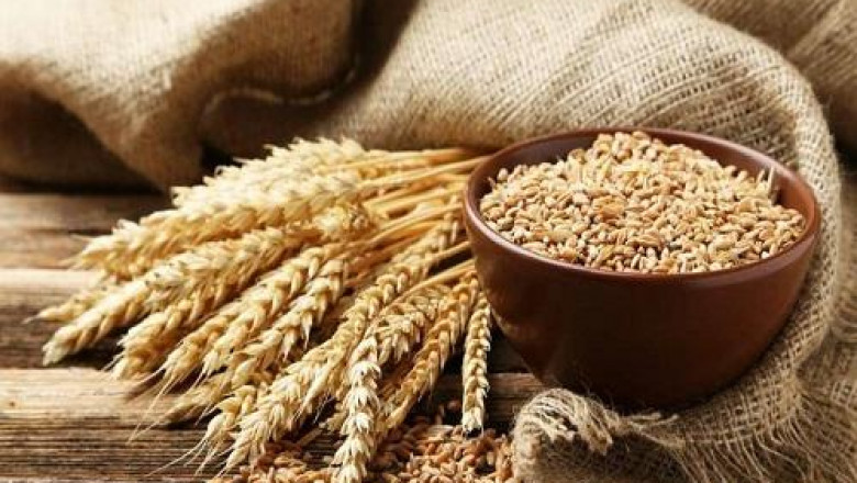 Hydrolysed Flour Market 2022-2028, Industry Share, Growth Status, Competitive Analysis, and Report