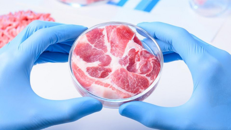 In Vitro Meat Market Outlook 2022 : Big Things Are Happening Globally