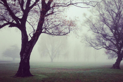 is tech making real estate investor sites better or worse