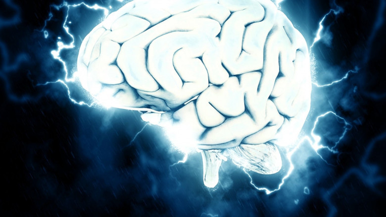 Mold Related Illness