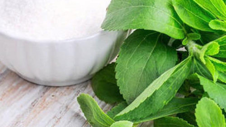 Natural Stevia Sweetener Market to Eyewitness Massive Growth by 2028