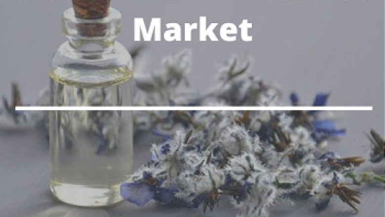 Cosmetic Antioxidants - The Next Anti-Aging Formula