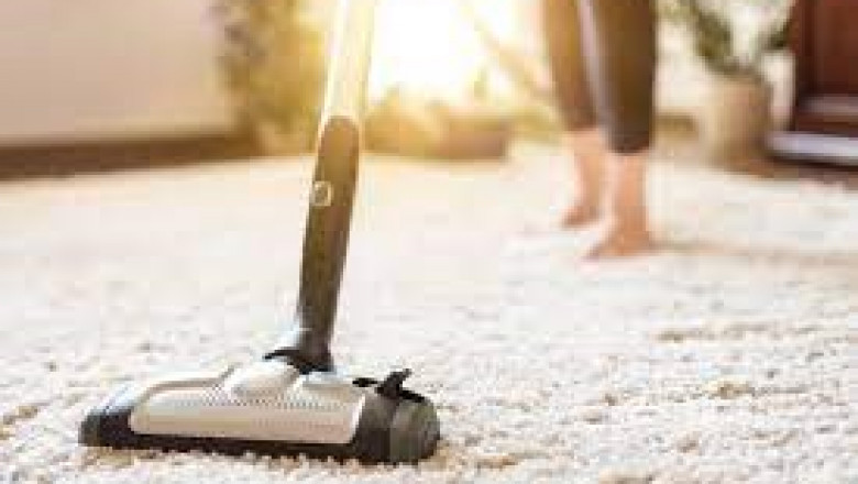 Carpet Cleaning Tips For Pet Owners