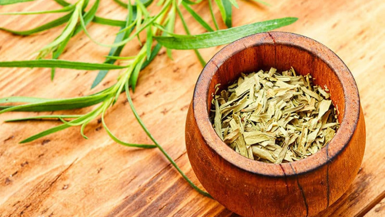 Gourmet Tarragon Seasoning Market Industry Analysis, Size, Share, Growth, Trends, and Forecast, 2022-2028