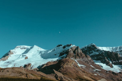 the best advice you could ever get about cute ragdoll kittens